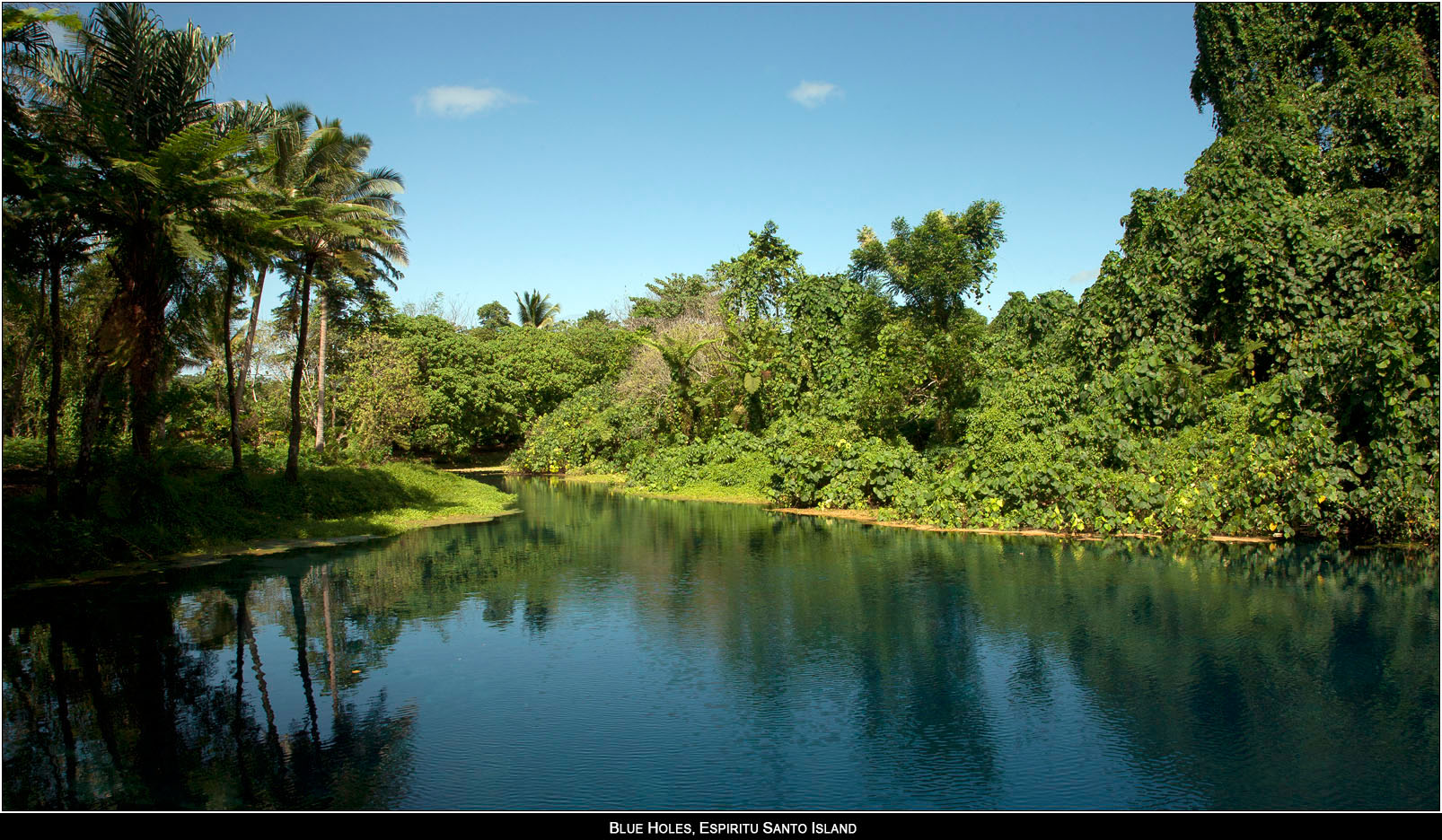 ��PORTRAIT��