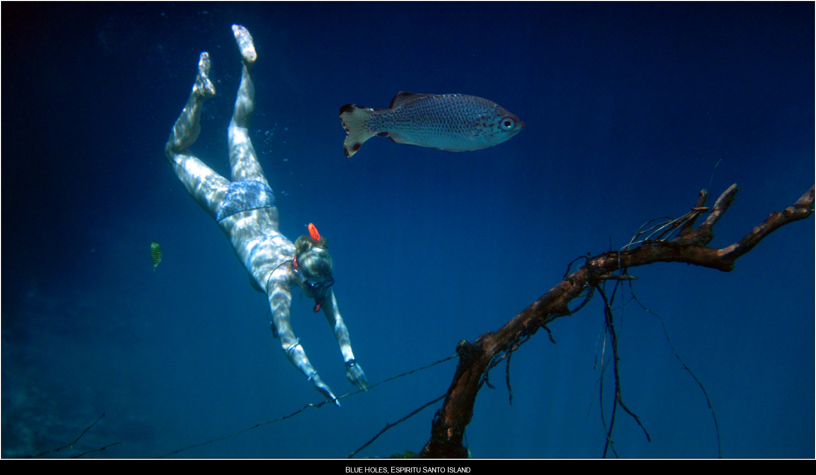 ��PORTRAIT��