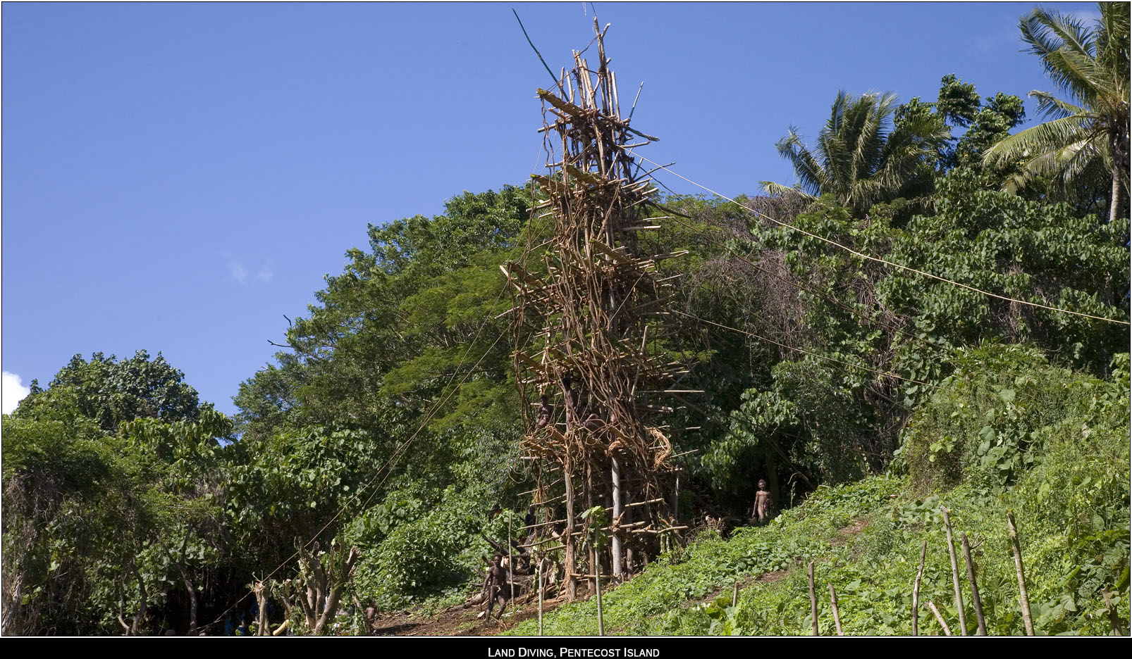 ��PORTRAIT��