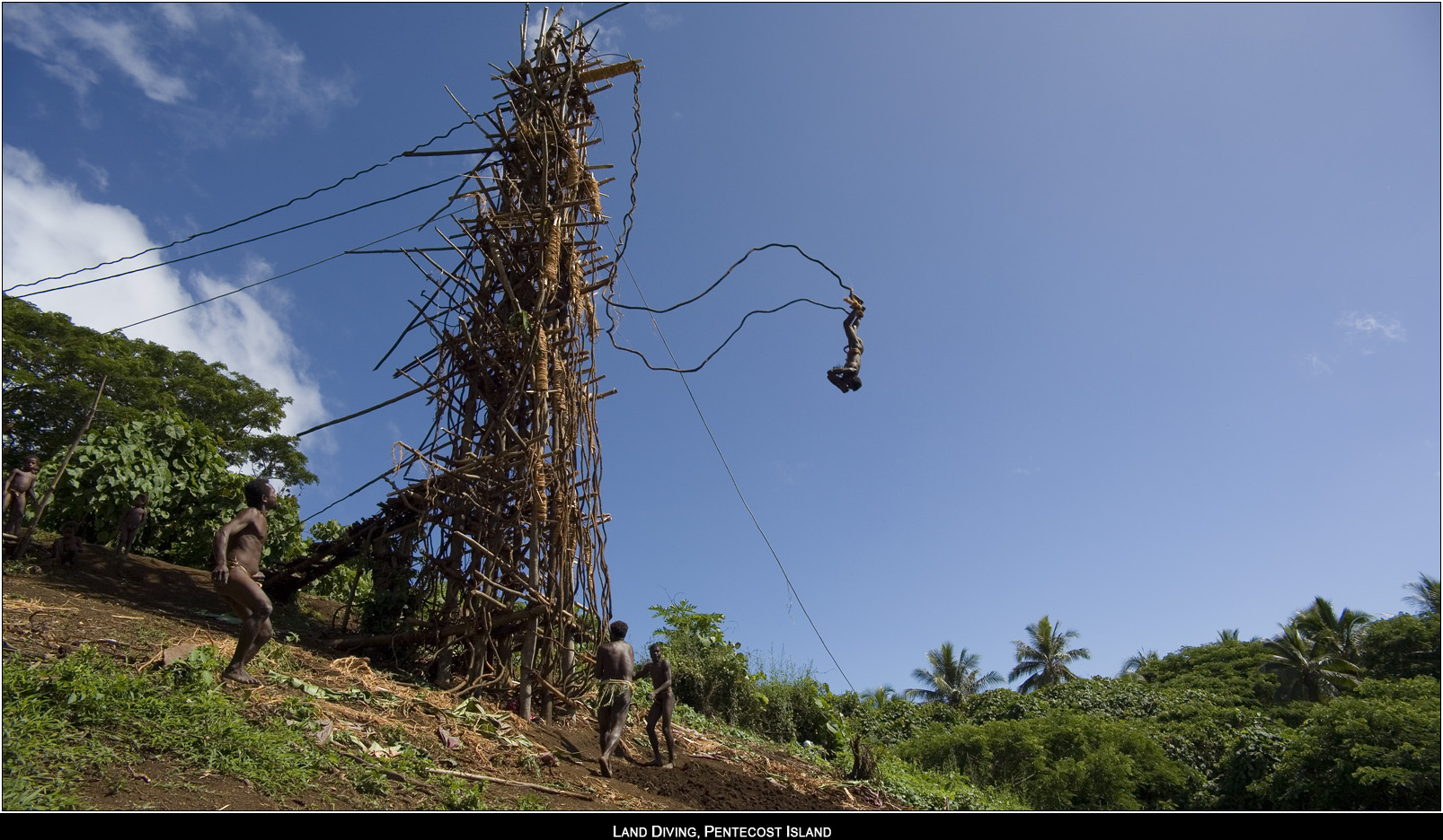 ��PORTRAIT��