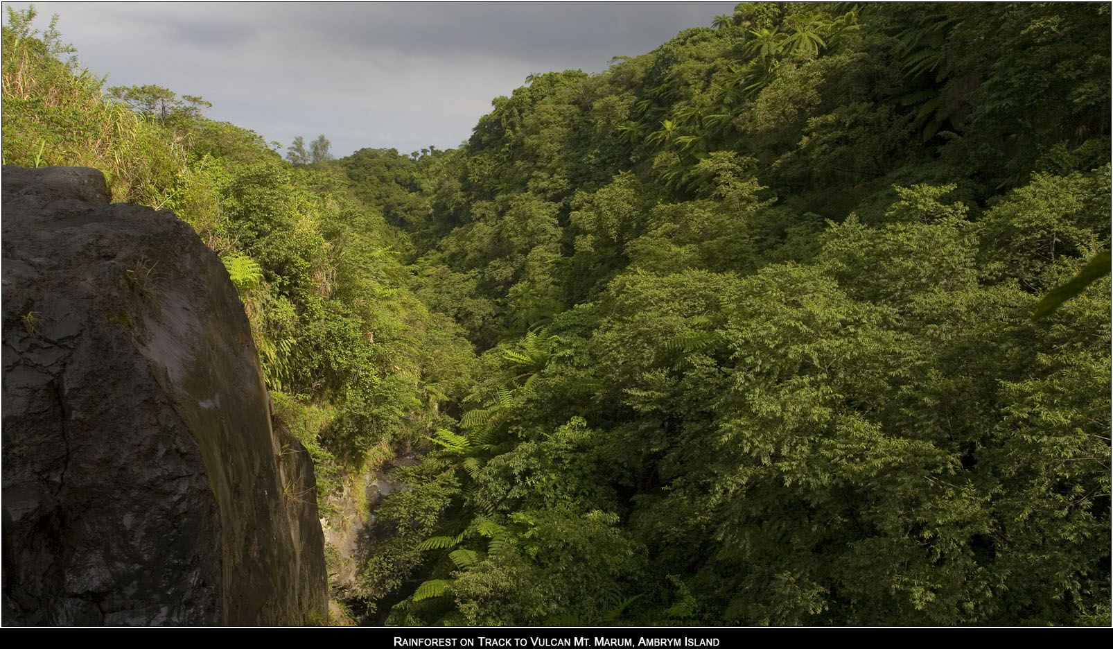 ��PORTRAIT��