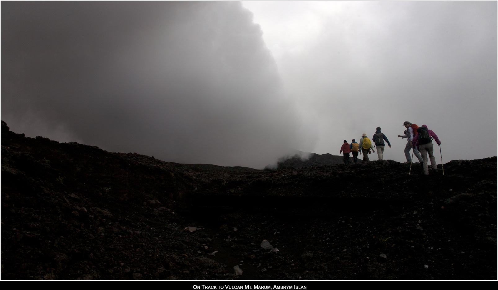 ��PORTRAIT��