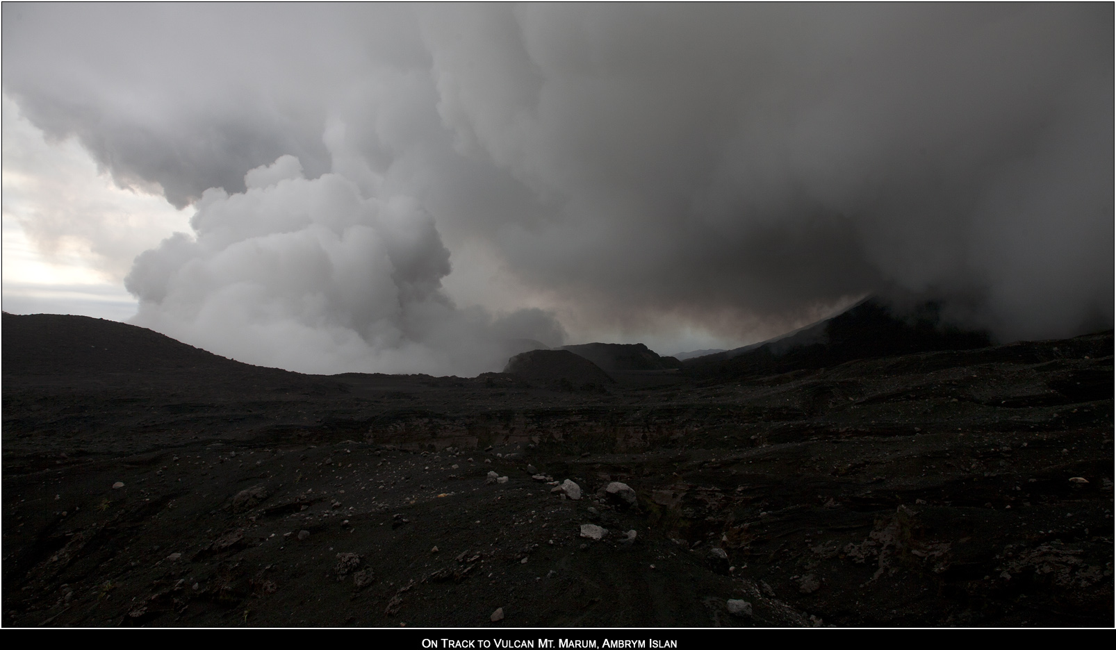 ��PORTRAIT��