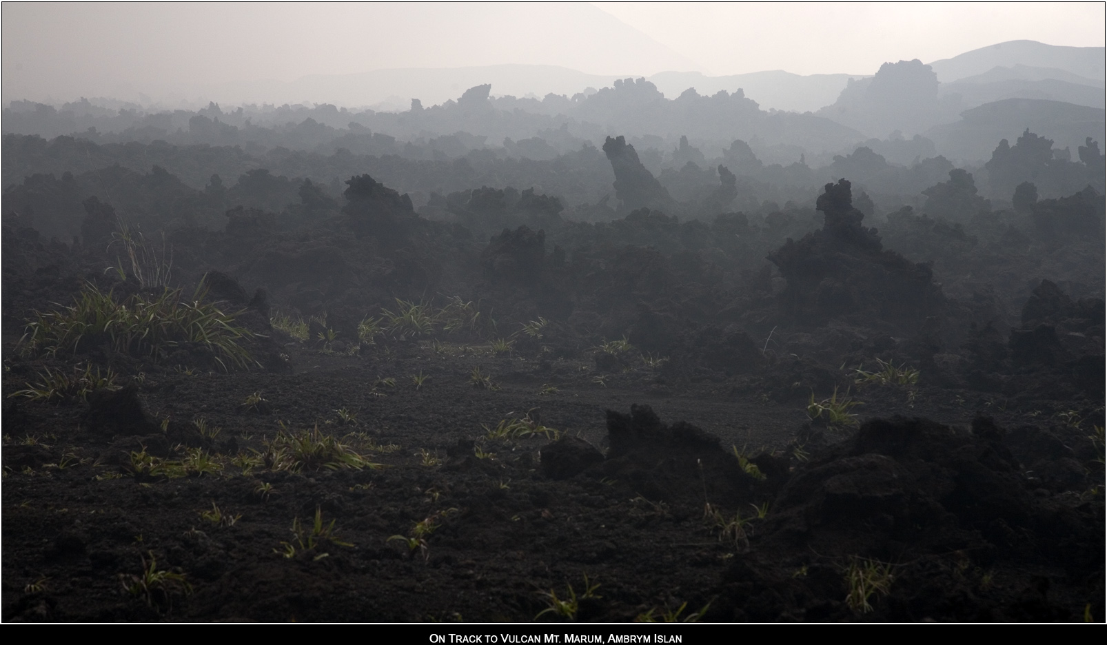 ��PORTRAIT��