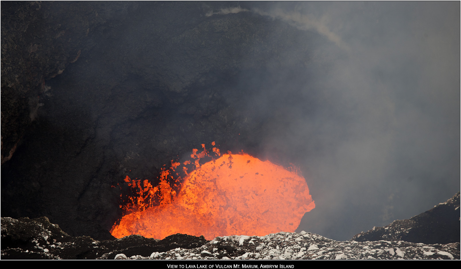 ��PORTRAIT��