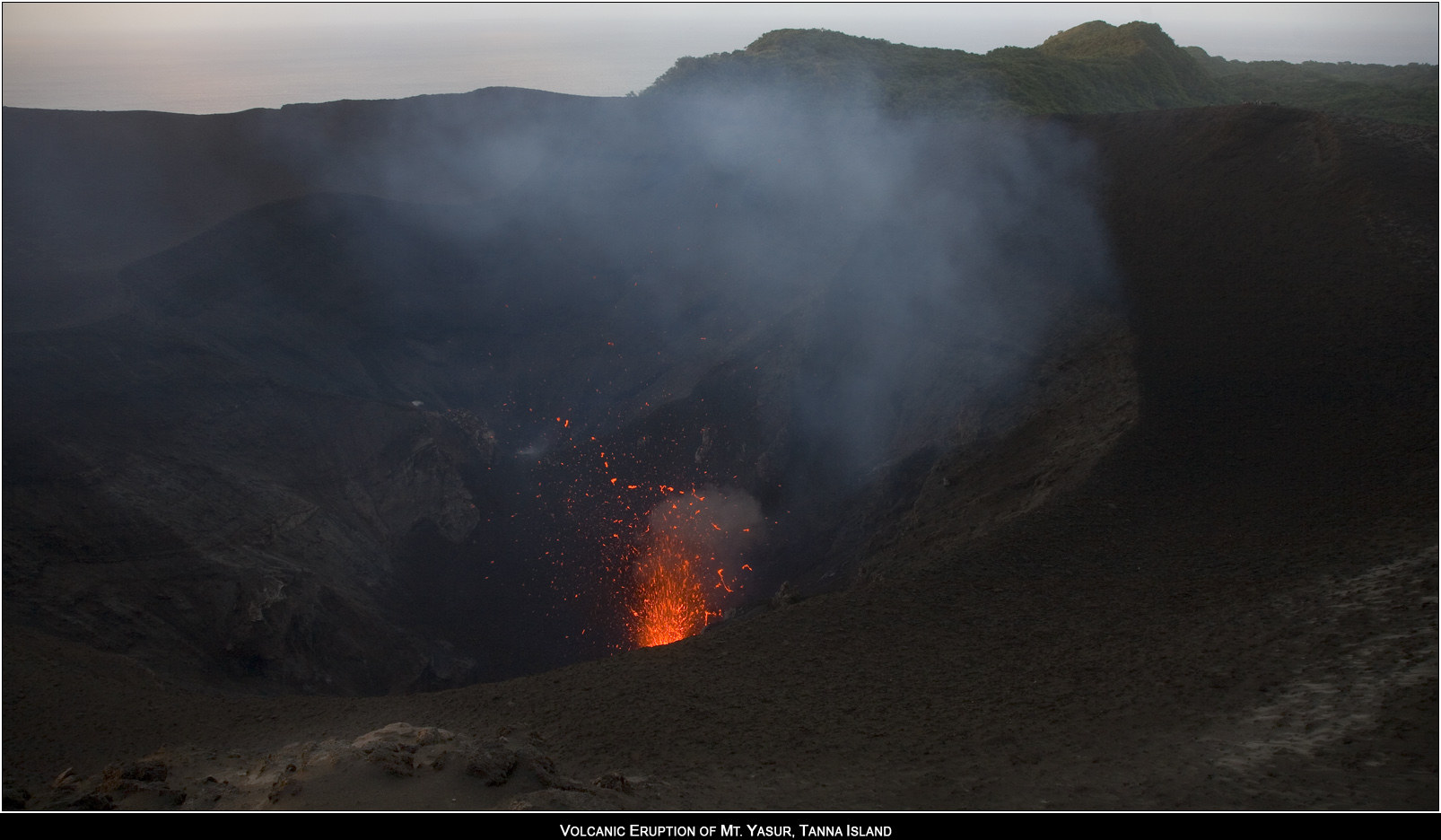 ��PORTRAIT��