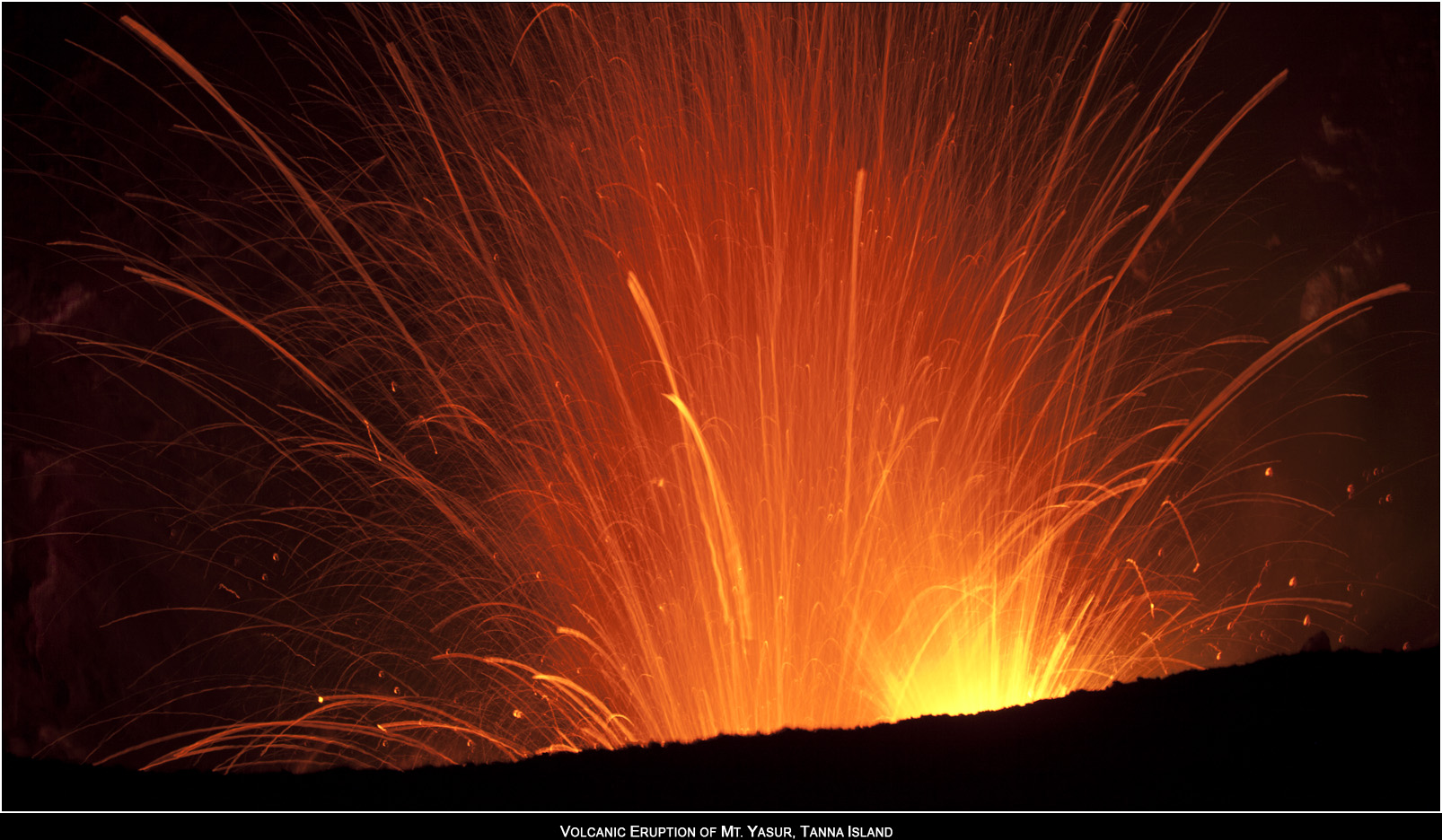 ��PORTRAIT��