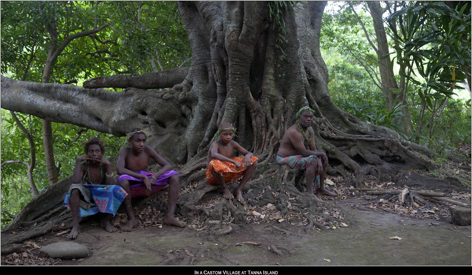 ��PORTRAIT��