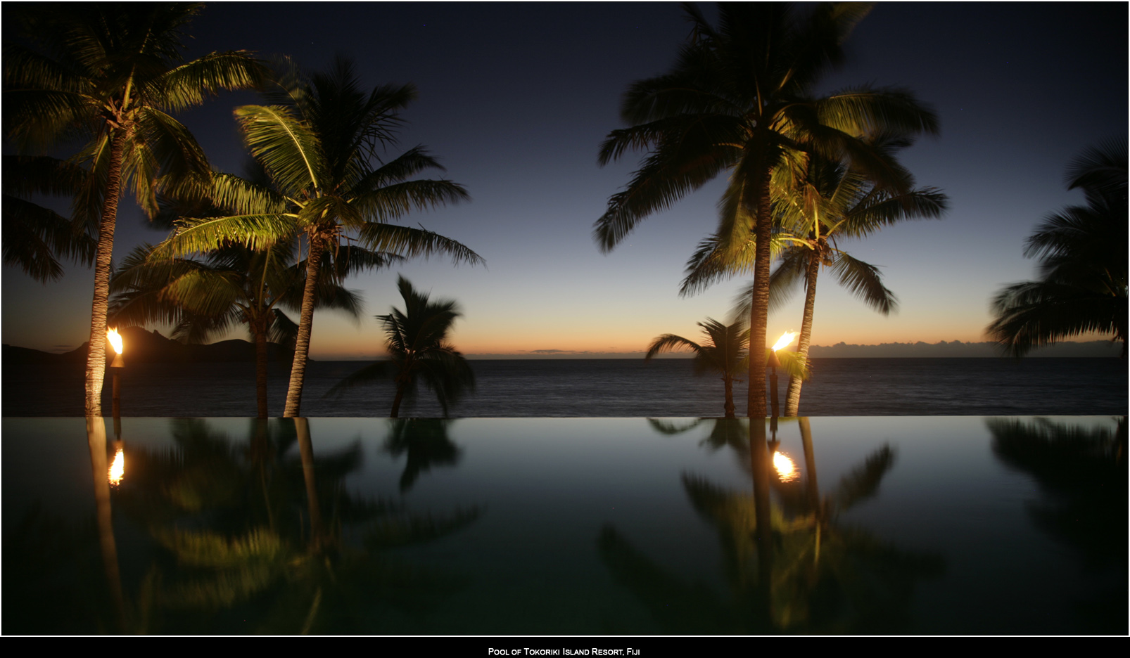 ��PORTRAIT��