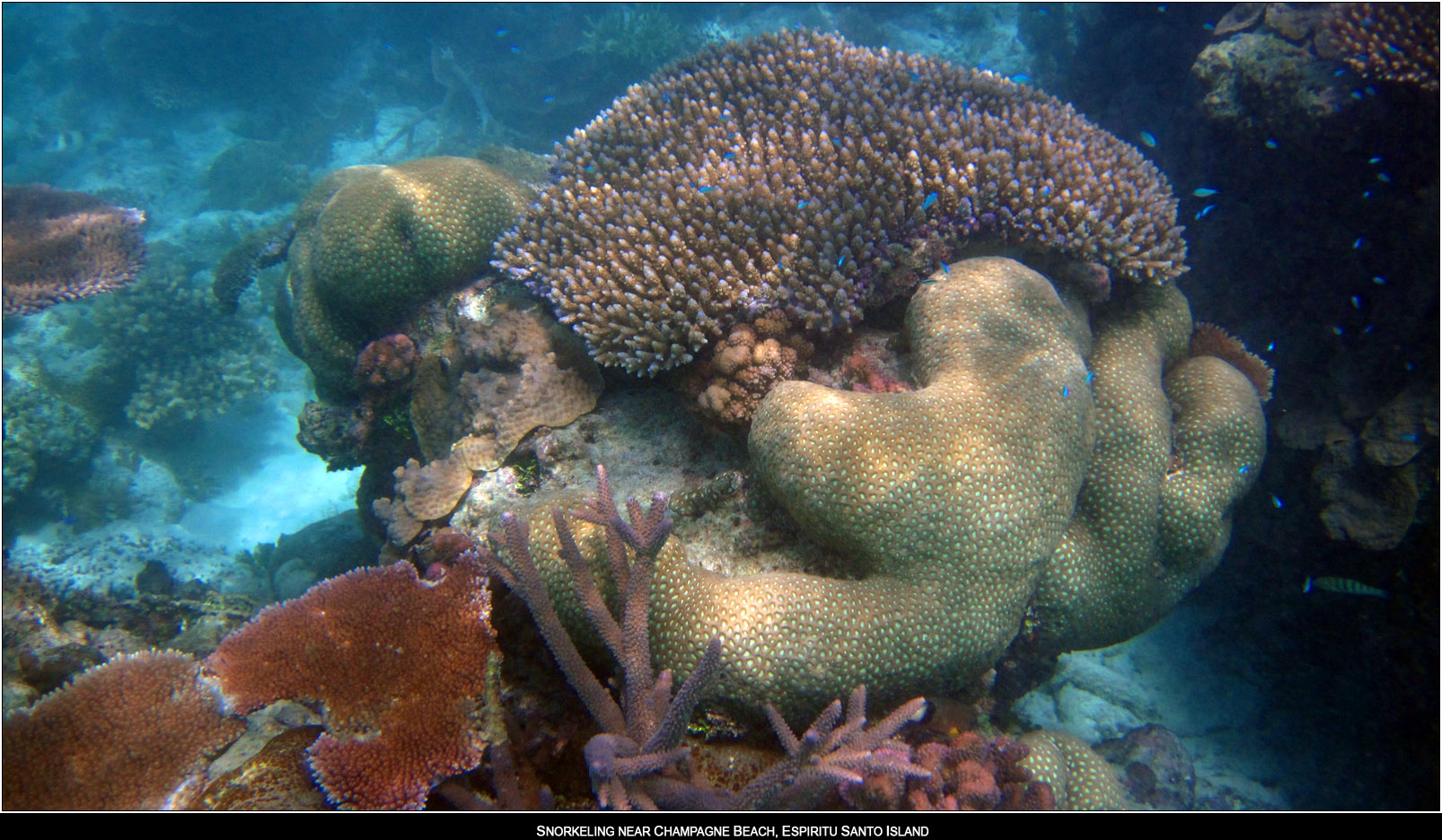 ��PORTRAIT��