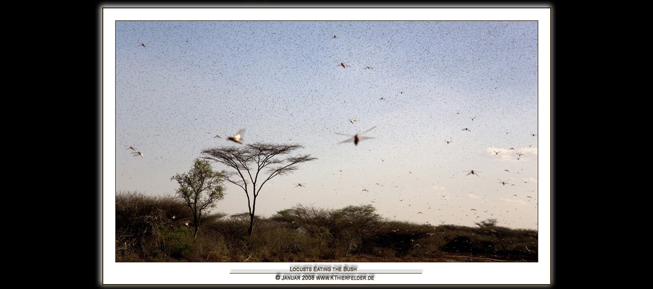 ��ETHIOPIA��