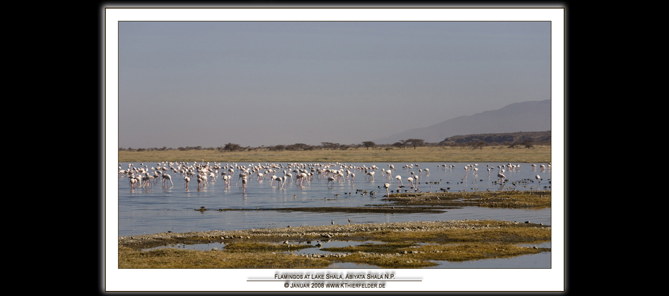 ��ETHIOPIA��