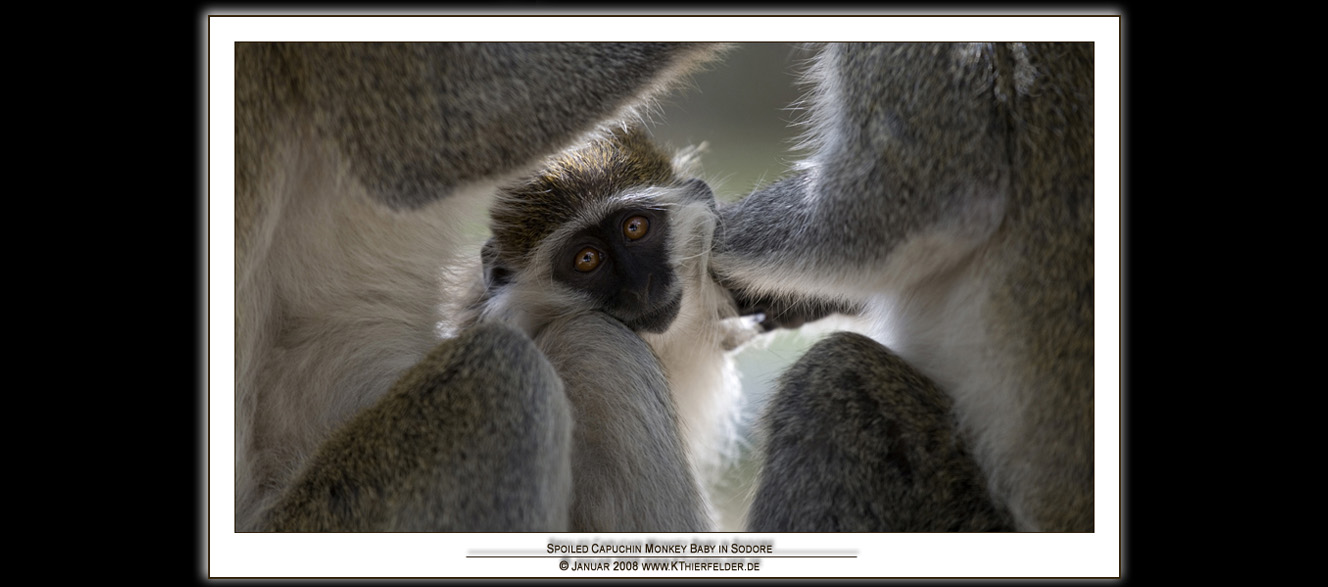 ��ETHIOPIA��