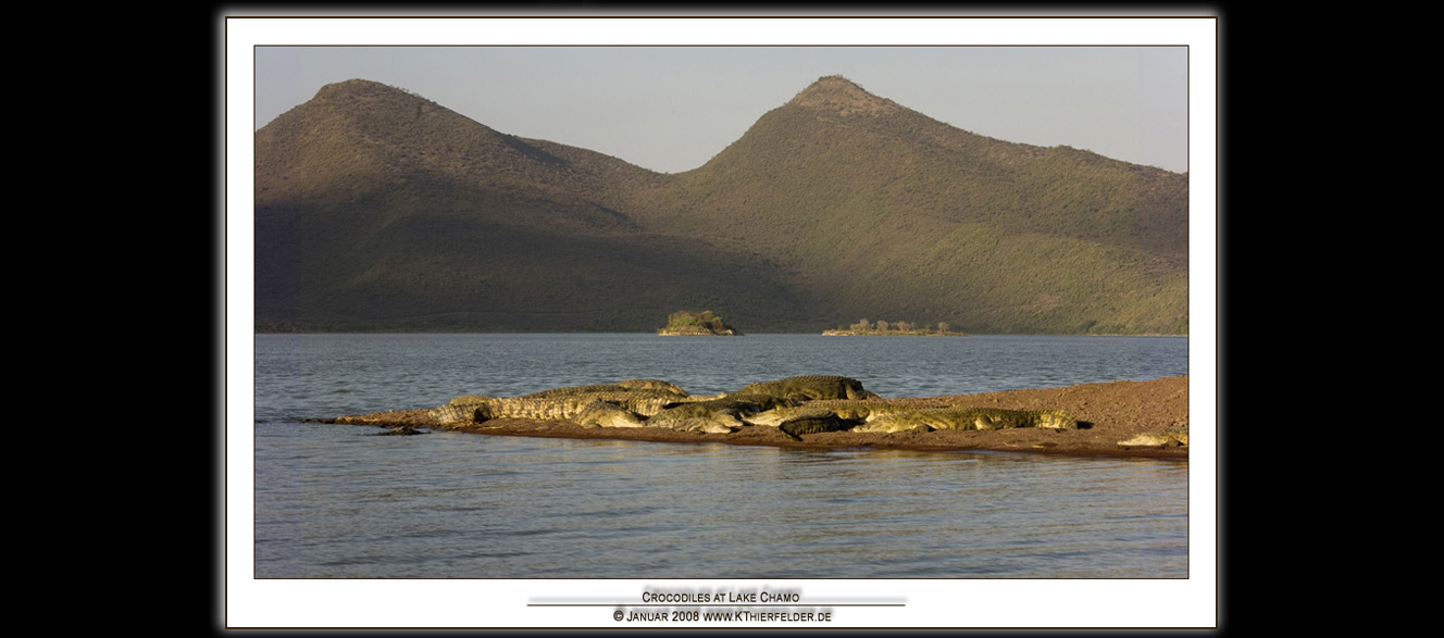 ��ETHIOPIA��