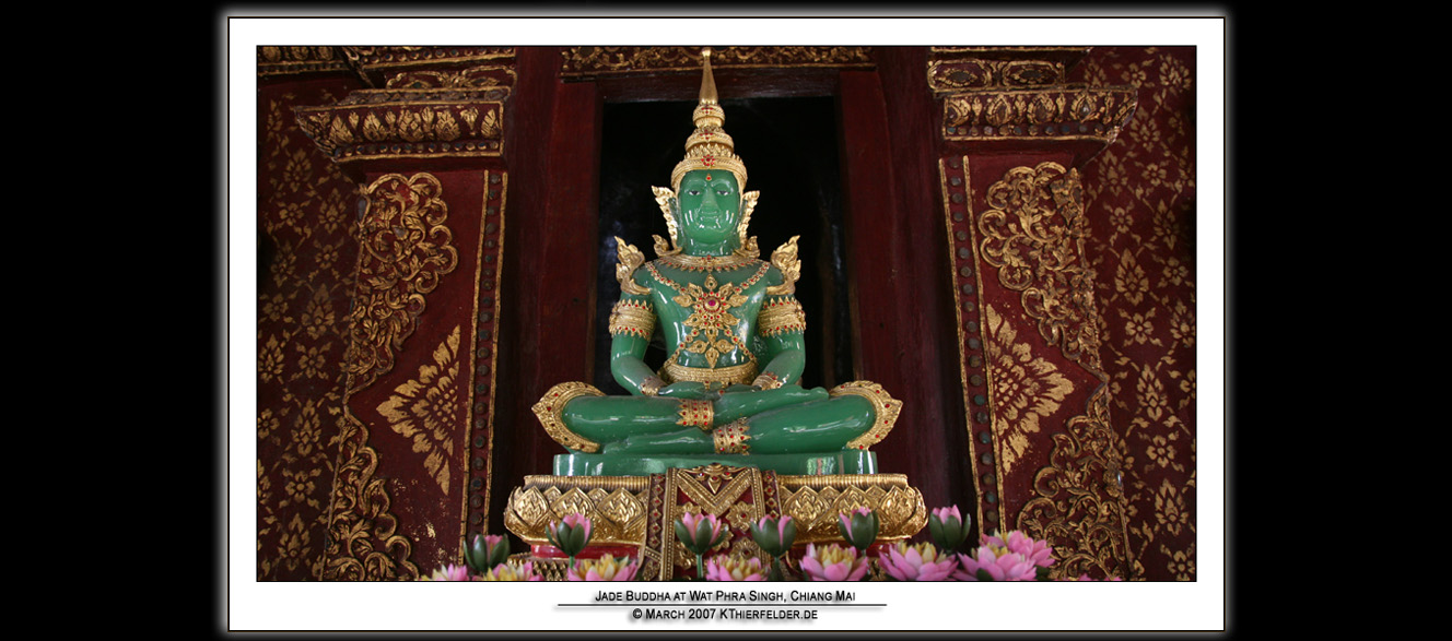 ��PORTRAIT��