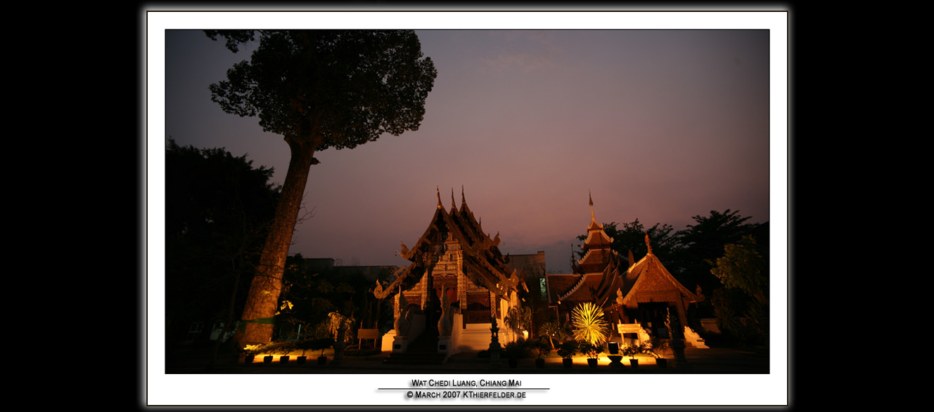 ��PORTRAIT��