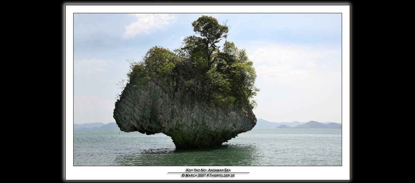 ��PORTRAIT��